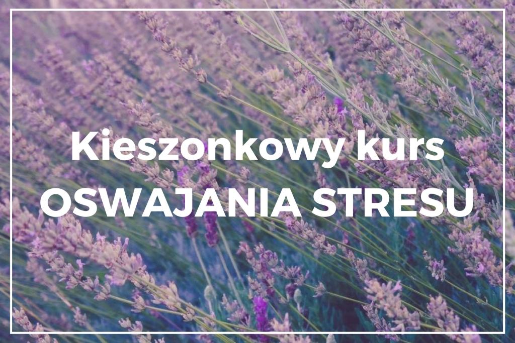 Kursy online - Kieszonkowy Kurs Oswajania Stresu