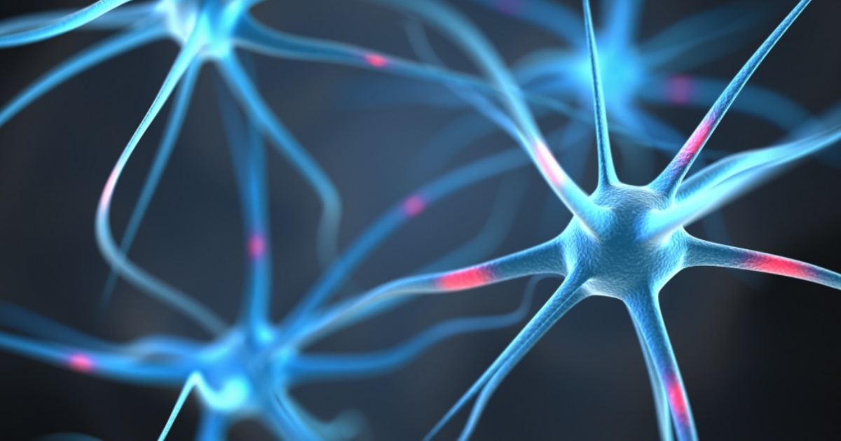 Trening Pozytywnej Neuroplastyczności
