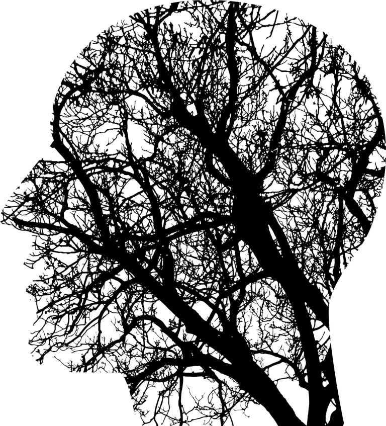 Trening Pozytywnej Neuroplastyczności